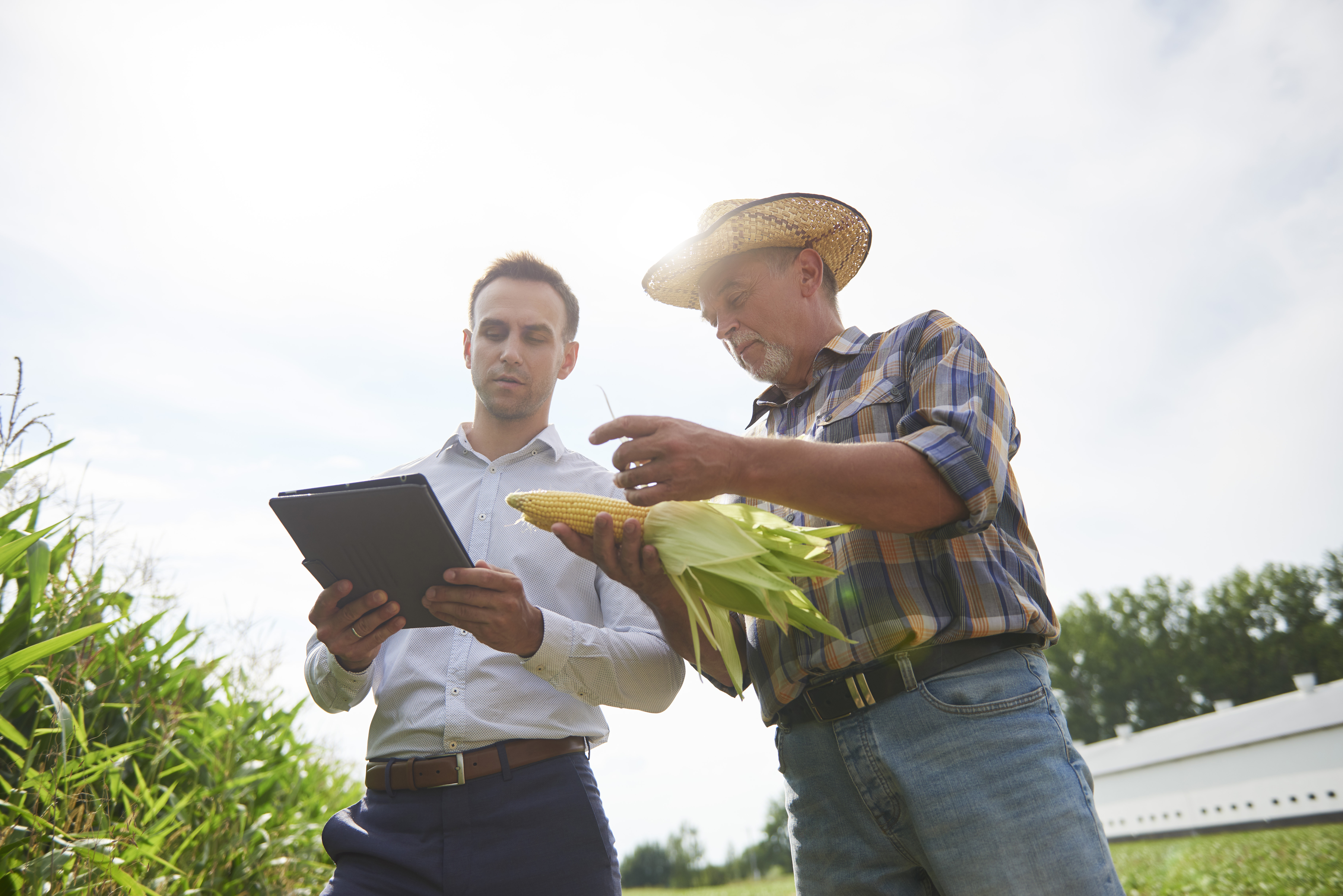 farmers in field look at tablet.jpg